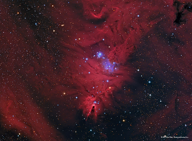 NGC 2264